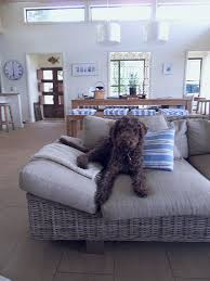 when your dog is doing the jumping. Is your Labradoodle jumping up 