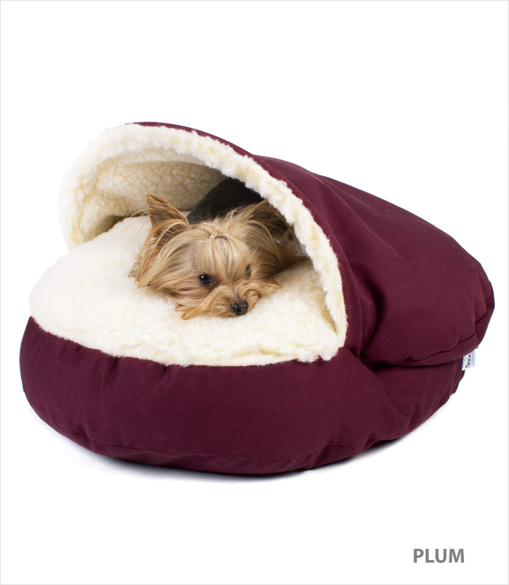 How To Get A Small Dog To Stop Barking How To Get A Small Dog To Stop Barking