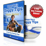 The Online Dog Trainer