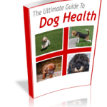 The Ultimate Guide to Dog Health