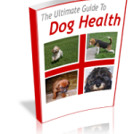 dog health problems