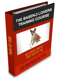 basenji dog training