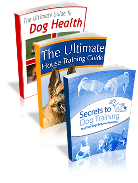 The Ultimate Guide to Dog Health Review – How to Handle Pet Emergency